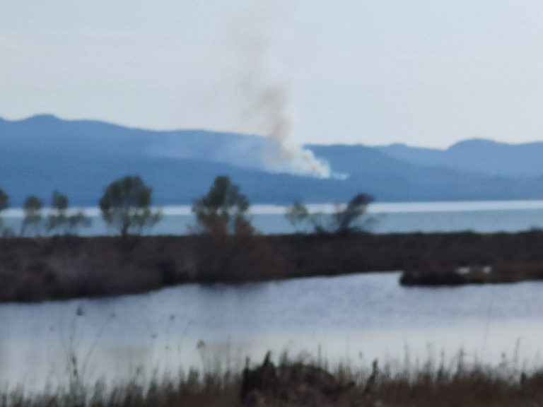 Λέσβος: Φωτιά στην Αχλαδερή