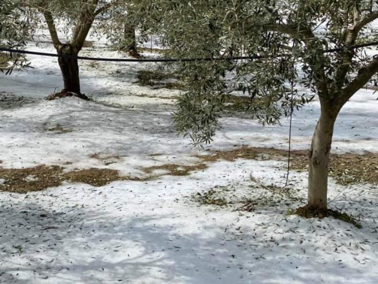 Οι εργαζόμενοι του ΕΛΓΑ απαντούν στον Αν. Λυκουρέντζο για καθυστερήσεις σε εκτιμήσεις