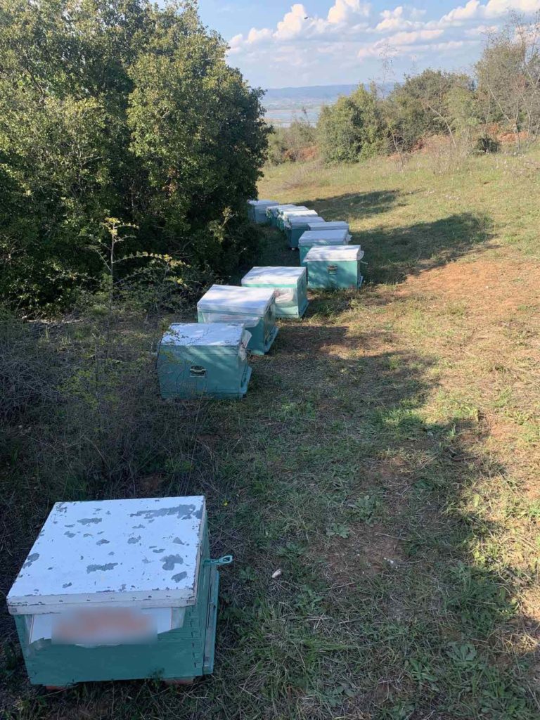 Θεσσαλονίκη: Χειροπέδες σε άντρα που έκλεβε κυψέλες μελισσών