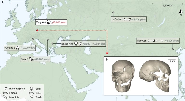 Οι Homo sapiens είχαν σεξουαλικές επαφές με τους Homo neanderthalensis στην περιοχή της Ευρώπης