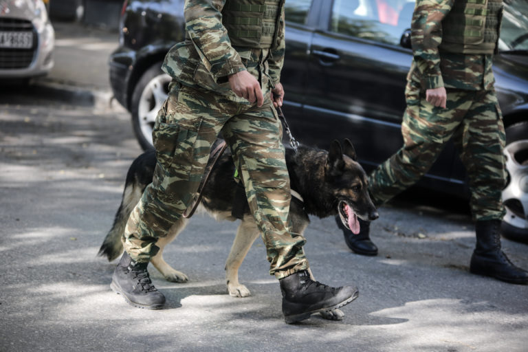 Φθιώτιδα: Βρήκε στο πατρικό της χειροβομβίδες και όπλα