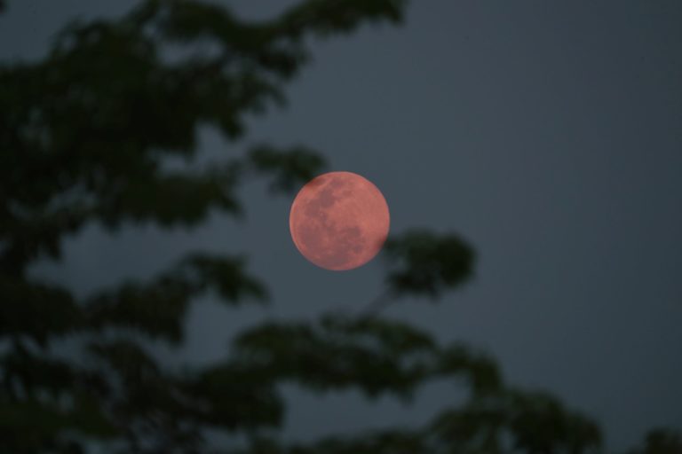 «Ροζ φεγγάρι»: Στον νυχτερινό ουρανό η πρώτη υπέρ-πανσέληνος του 2021