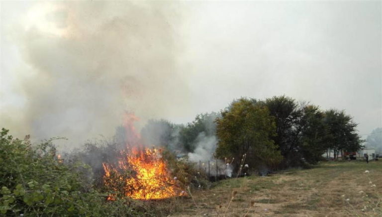 Φωτιά ξέσπασε στις Μάλλες Ιεράπετρας – Τέθηκε υπό έλεγχο με τη βοήθεια των κατοίκων