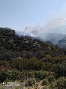 Σάμος: Έσβησε η φωτιά πριν προλάβει να πάρει μεγάλες διαστάσεις