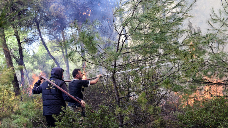 Βελτιωμένη η εικόνα της φωτιάς στο Κρυονέρι Μεγαλόπολης