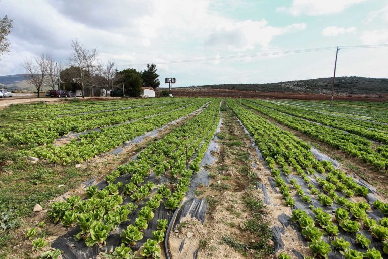 Aπαλλαγή αγροτών και αλιέων από το τέλος επιτηδεύματος για το 2020