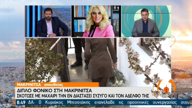 Διπλή δολοφονία στη Μακρινίτσα: Τι ισχυρίζονται οι δικηγόροι και των δύο πλευρών (video)