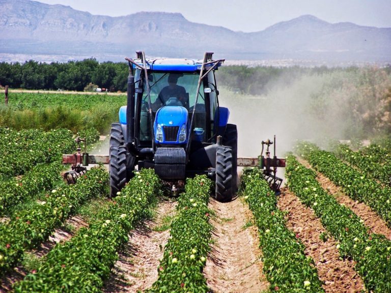 Ηλεία: Απορρίπτουν τα πορίσματα του ΕΛΓΑ οι αγροκτηνοτρόφοι