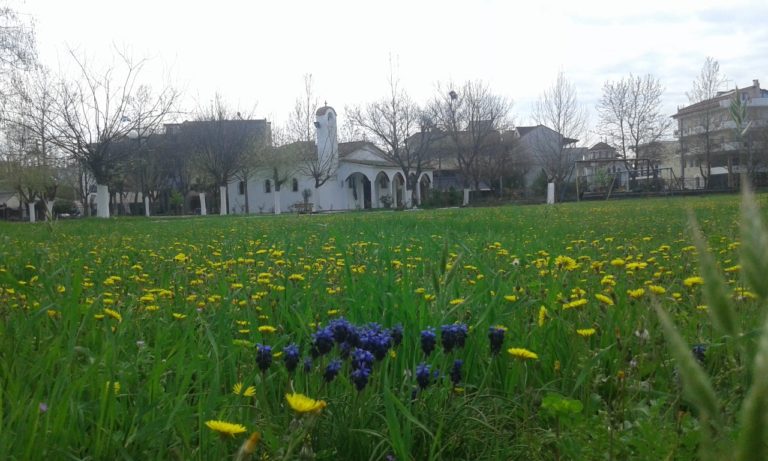 H Λάρισα συμμετέχει στο City Nature Challenge από 29 Απριλίου – 2 Μαΐου