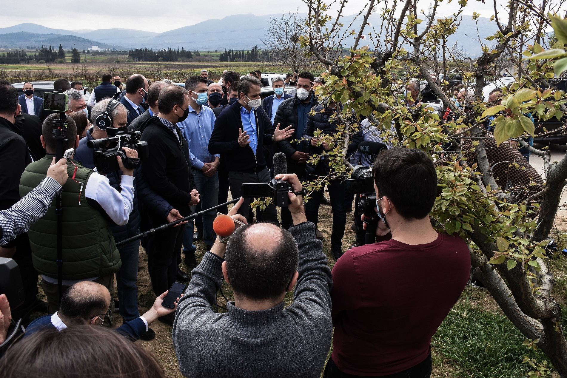 αποζημιώσεις για τον παγετό