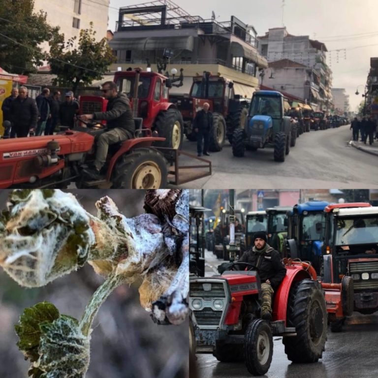 Συλλαλητήριο με τρακτέρ από τους παγετόπληκτους αγρότες του Τυρνάβου