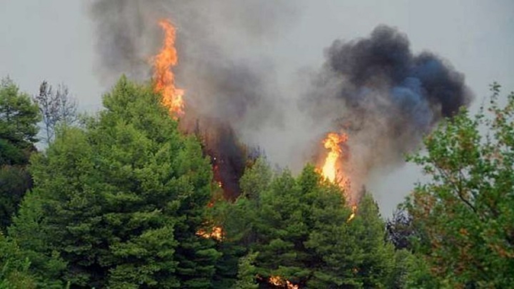 Κέρκυρα: Πυρκαγιά σε δασική έκταση στη Λευκίμμη