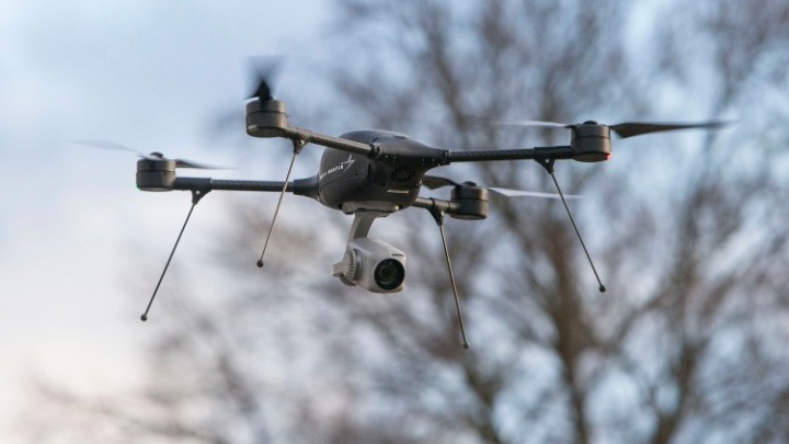 Δ. Θεσσαλονίκης: Με drones η μάχη απέναντι στο φυλλοφάγο έντομο που προσβάλλει τις φτελιές