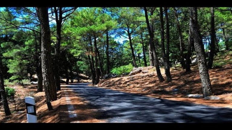 Σε ετοιμότητα οι υπηρεσίες στο Νότιο Αιγαίο ενόψει της αντιπυρικής περιόδου