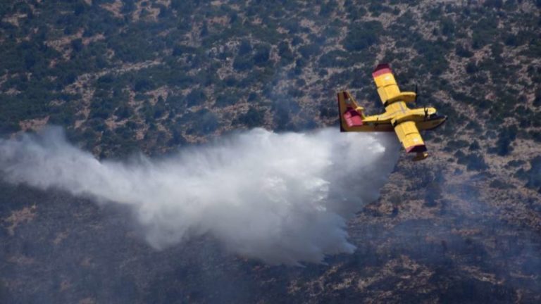 Καίγεται πευκοδάσος στο Βρωμονέρι Πηλίου  – Επιχειρούν δύο αεροσκάφη