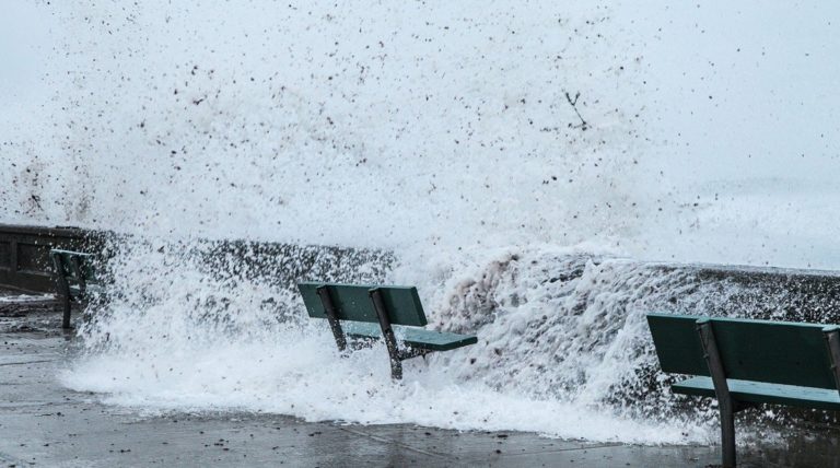 Ηράκλειο: Κοπές δέντρων και μικροπροβλήματα στο αεροδρόμιο από τους ισχυρούς νοτιάδες