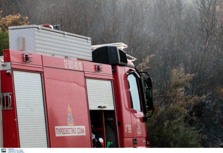 Σε εξέλιξη η επιχείρηση κατάσβεσης της φωτιάς στην Ανατολική Μάνη