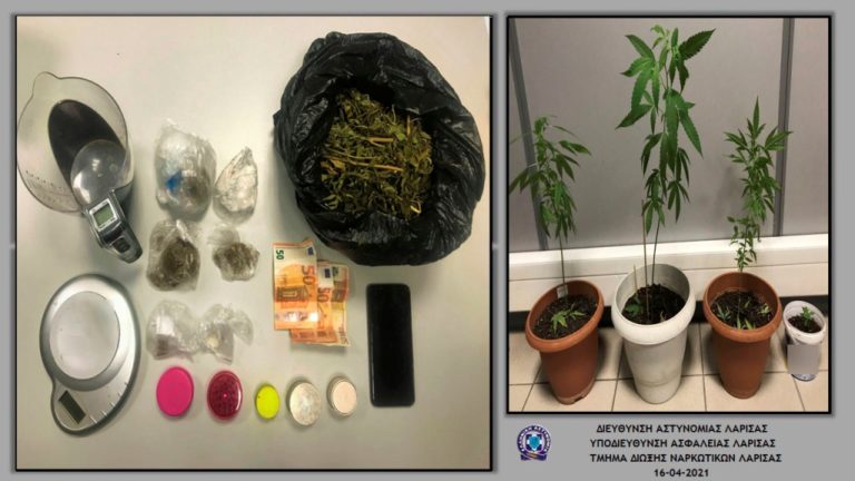 Λάρισα: Σύλληψη για κατοχή και καλλιέργεια ινδικής κάναβης