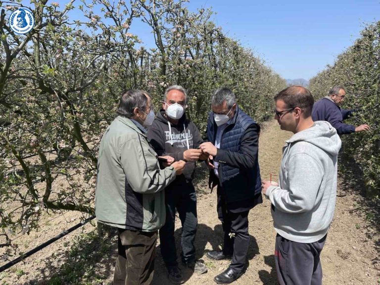 Δέντρα που επλήγησαν από τον παγετό είδε ο δήμαρχος Τρίπολης