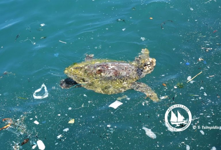 Ινστιτούτο Αρχιπέλαγος: Οι καταναλωτικές συνήθειες καταστρέφουν το θαλάσσιο περιβάλλον (audio)