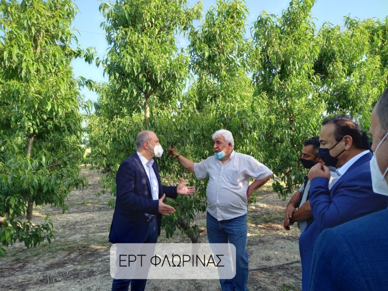 Γιάννης Οικονόμου: “Στόχος μας να αποζημιωθούν έγκαιρα όσοι επλήγησαν από τον παγετό” (βίντεο)