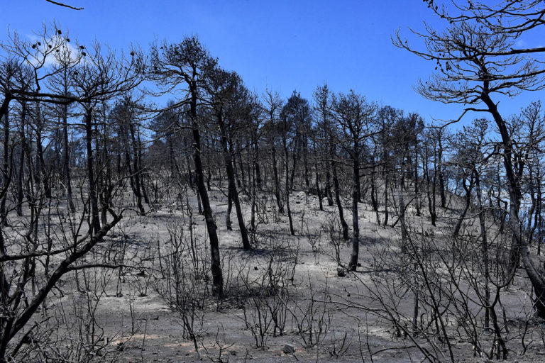 Η αποτίμηση της φωτιάς στα Γεράνεια Όρη – Το ΒΕYOND χαρτογραφεί τα δεδομένα για την ΕΡΤ
