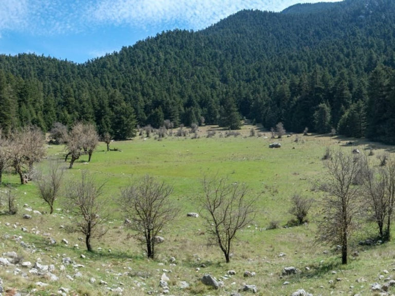 Καλαμάτα: Επιστροφή Ορειβατικού στις Εξορμήσεις