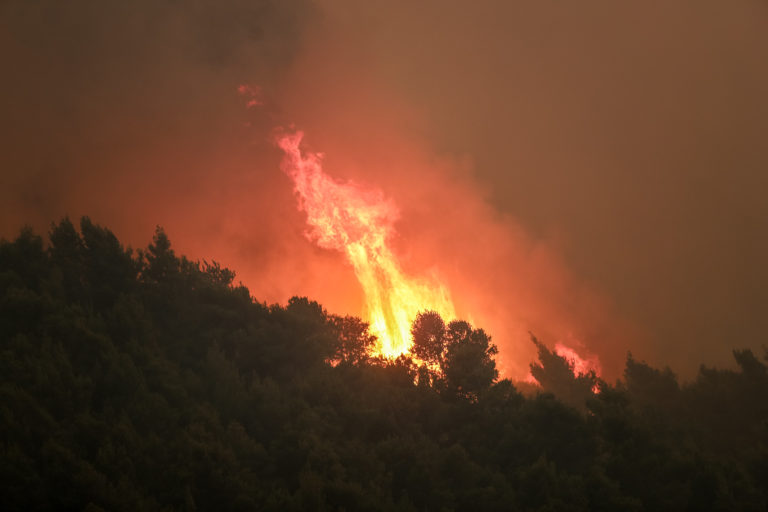 Κερδύλια Σερρών: Μάχη με τις φλόγες για την κατάσβεση μεγάλης πυρκαγιάς