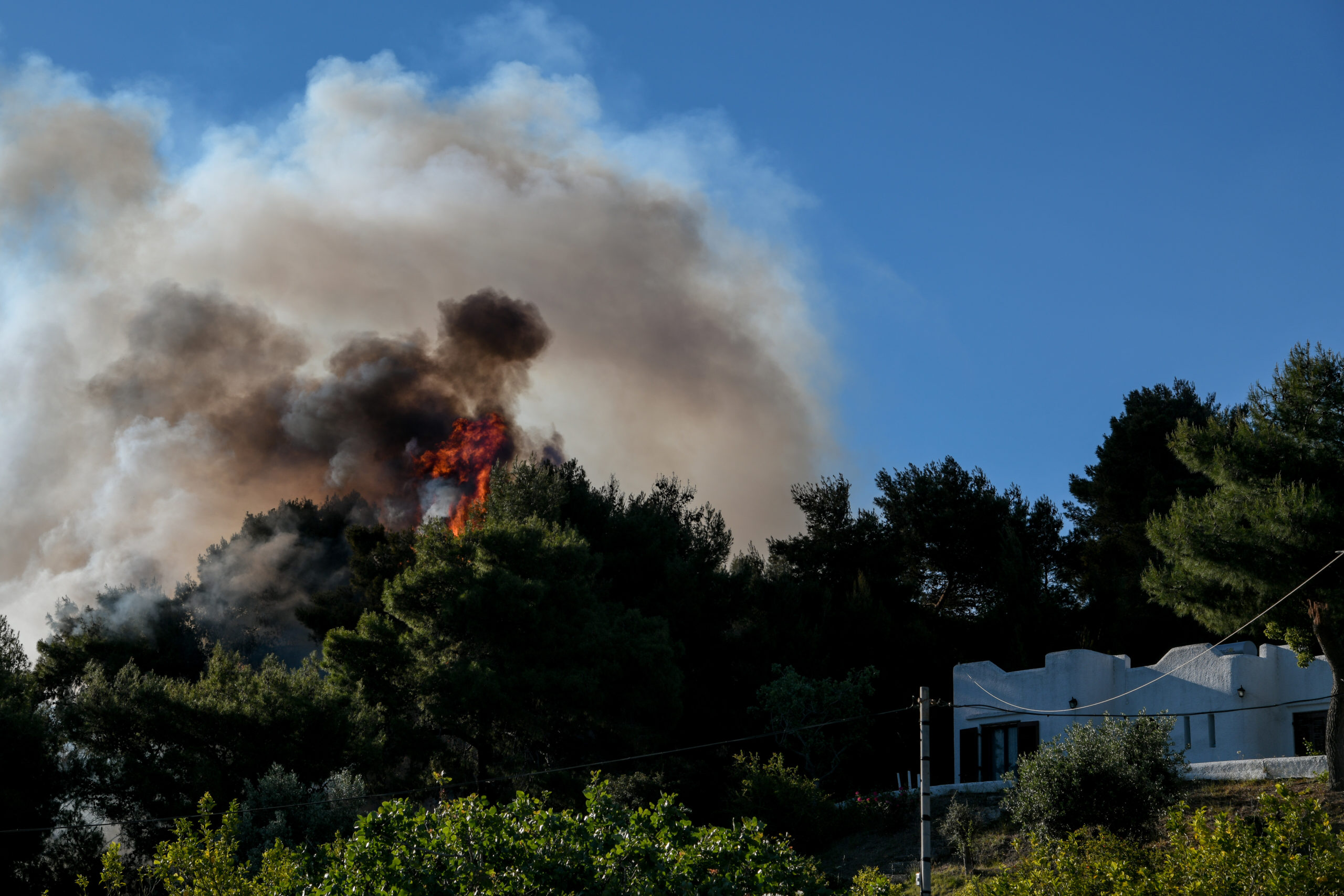 ΠΥΡΚΑΓΙΑ ΣΕ ΔΑΣΙΚΗ ΕΚΤΑΣΗ ΣΤΗΝ ΚΟΡΙΝΘΙΑ / ΟΙΚΙΣΜΟΣ ΠΕΥΚΑΝΕΑΣ(EUROKINISSI/ΜΙΧΑΛΗΣ ΚΑΡΑΓΙΑΝΝΗΣ)