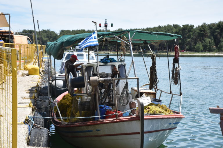 Φυτοπλαγκτόν και μπλε καβούρια ταλαιπωρούν τους αλιείς του Θρακικού Πελάγους