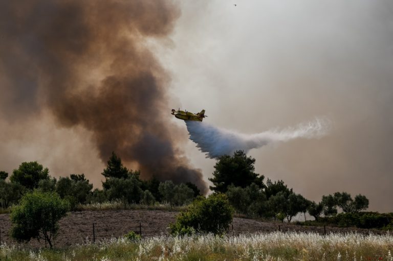 Φωτιά στα Μέγαρα: Το μεγαλύτερο πύρινο μέτωπο σε Άνω και Κάτω Πευκενέα (video)