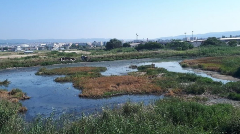 Θεσσαλονίκη: Στάσιμα νερά, πεταμένα λάστιχα αυτοκινήτων και καταπατημένα οικόπεδα στην περιοχή των βυρσοδεψείων