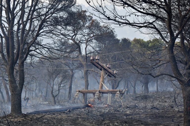 Σε ύφεση η πυρκαγιά στα Γεράνεια Όρη – H ενημέρωση της Πυροσβεστικής