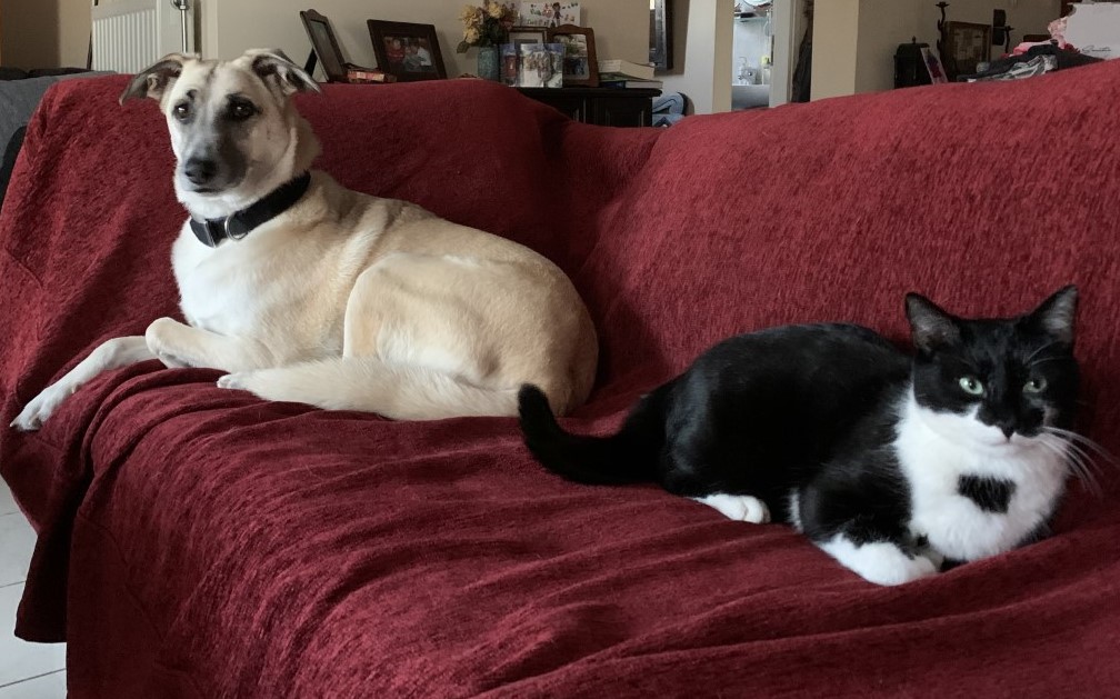 abby and tsito
