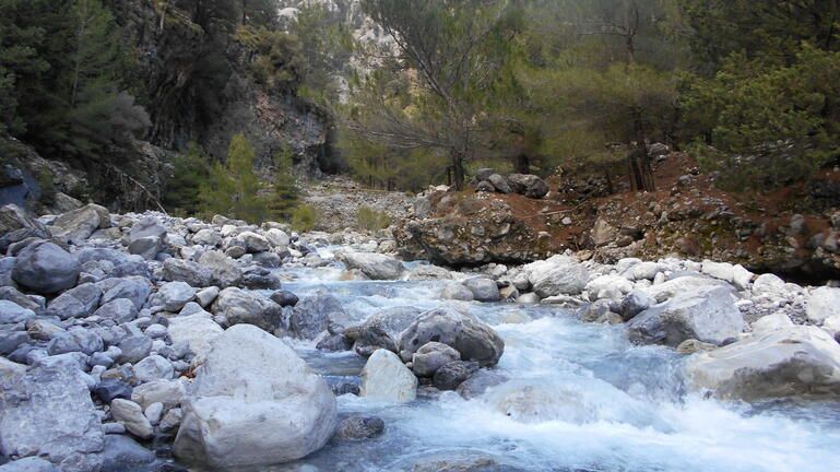 Ανοίγει το Σάββατο 22 Μαΐου ο Εθνικός Δρυμός Σαμαριάς