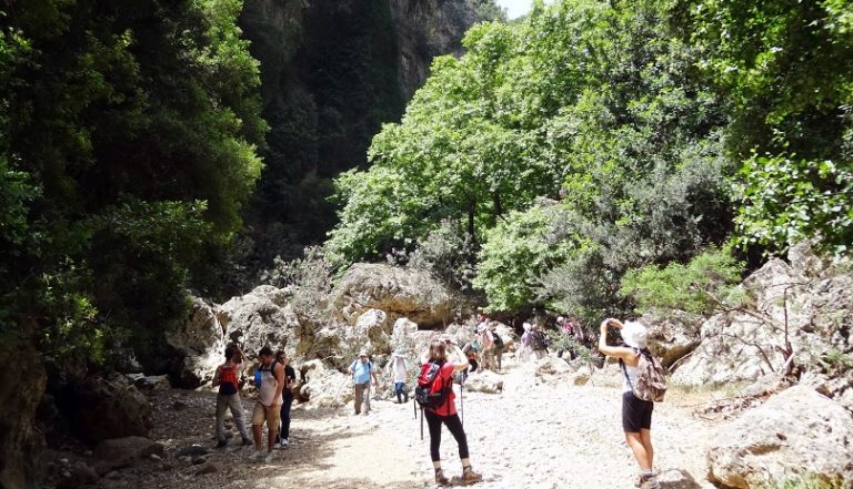 Χανιά: Εθελοντικός καθαρισμός στο Φαράγγι Δικτάμου