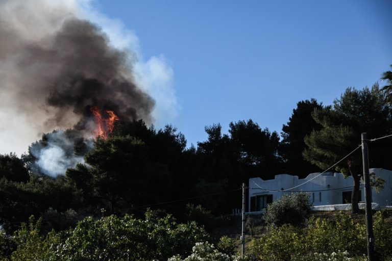 Ν. Χαρδαλιάς: Στάχτη 40.000 στρέμματα στα Γεράνεια Όρη – Η φωτιά “περπάτησε” 10,3χλμ την πρώτη μέρα