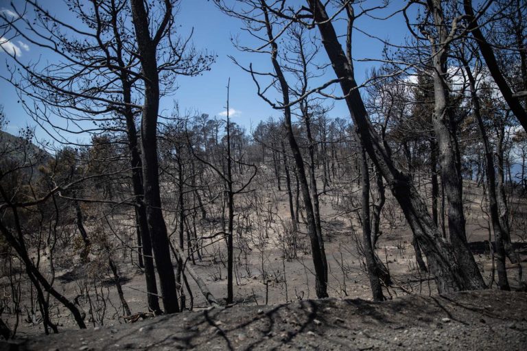 Πυρκαγιά – Γεράνεια Όρη: Στάχτη πάνω από 71.000 στρέμματα – Εικόνες από τη μεγάλη οικολογική καταστροφή