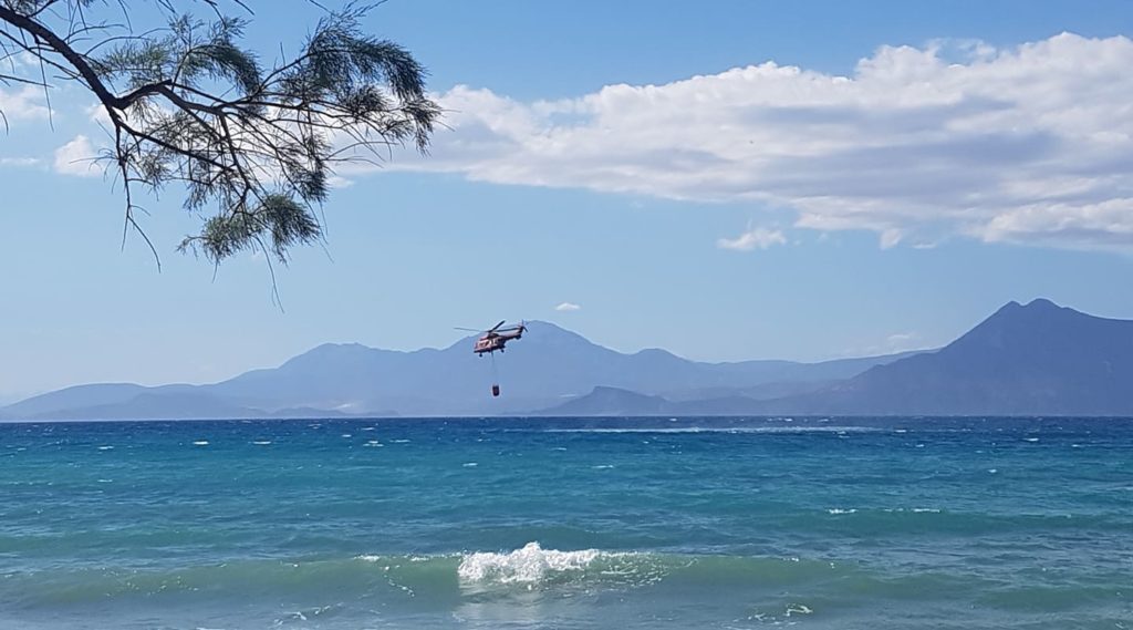 Χαρδαλιάς: Στάχτη 20 χιλιάδες στρέμματα δάσους – Αναμένεται δύσκολη βραδιά