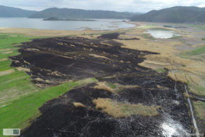 Εταιρεία Προστασίας Πρεσπών: Καταστροφικές οι φωτιές για το οικοσύστημα της Πρέσπας