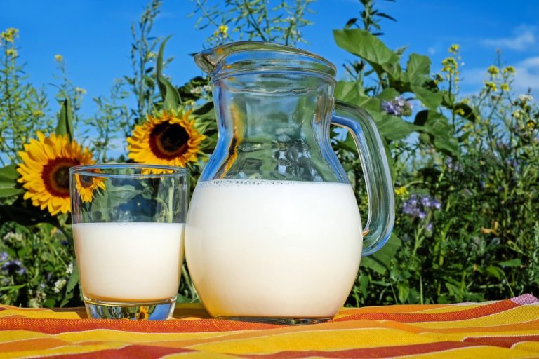 ‘Ερευνα: Η συχνή κατανάλωση γάλακτος δεν αυξάνει τη χοληστερίνη