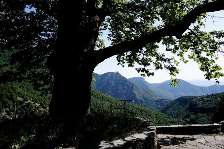 Έργα 79,4 εκατ. ευρώ από το ΥΠΕΝ για την προστασία των δασών