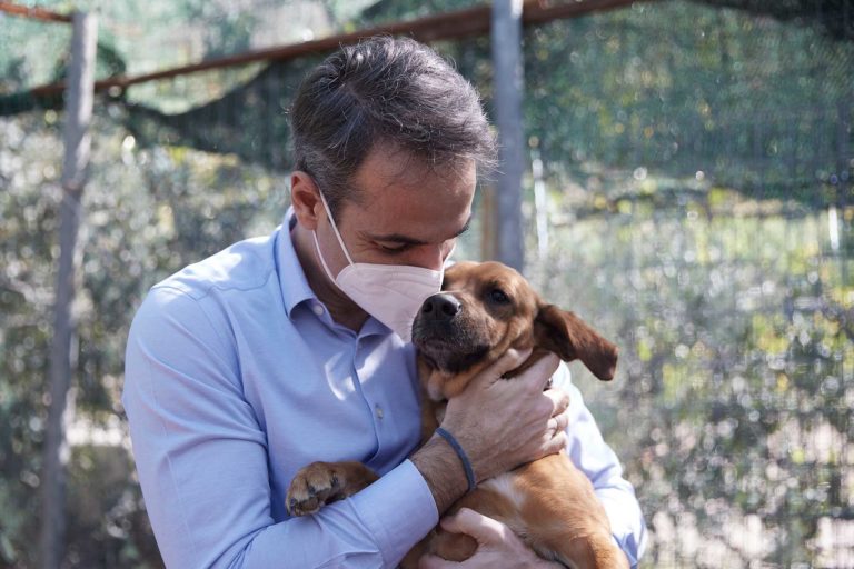 Κυρ. Μητσοτάκης: “Η προστασία των ζώων είναι θέμα πολιτισμού και μας αφορά όλους”