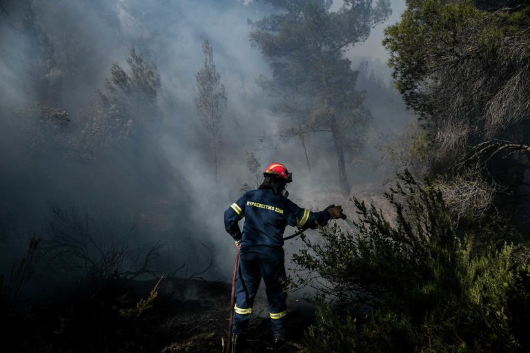 Σε ύφεση τα πύρινα μέτωπα – Υψηλός κίνδυνος πυρκαγιάς την Κυριακή 11 Ιουλίου (video)