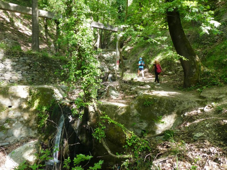Φλώρινα: Δράση ορειβατικής πεζοπορίας από το Τμήμα Νεότητας του Ερυθρού Σταυρού