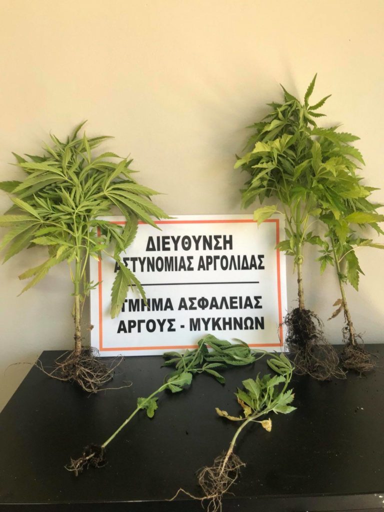 Εκτεταμένες αστυνομικές επιχειρήσεις στην Πελοπόννησο για την αντιμετώπιση της παραβατικότητας