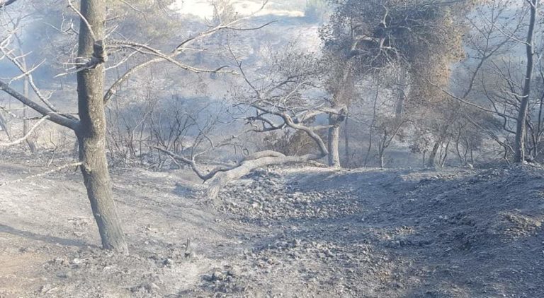 Η ΕΡΤ Τρίπολης στη φωτιά του Σχίνου Κορινθίας