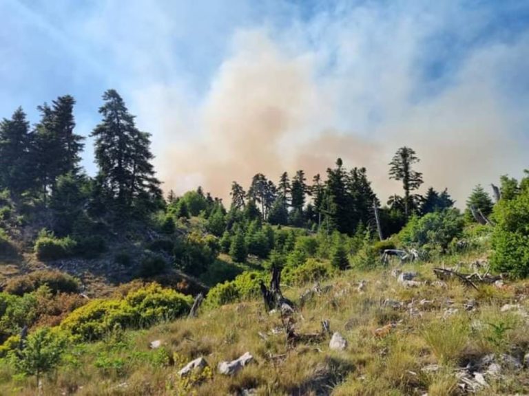 Πυρκαγιά στα Γεράνεια Όρη: Ολοκληρώθηκε η καταγραφή των ζημιών σε υποδομές και δημόσια κτίρια