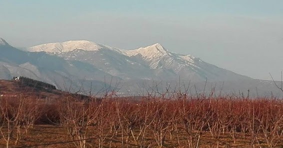 Στα μετόπισθεν του Α’ Παγκόσμιου Πολέμου με την Thessaloniki Walking Tours