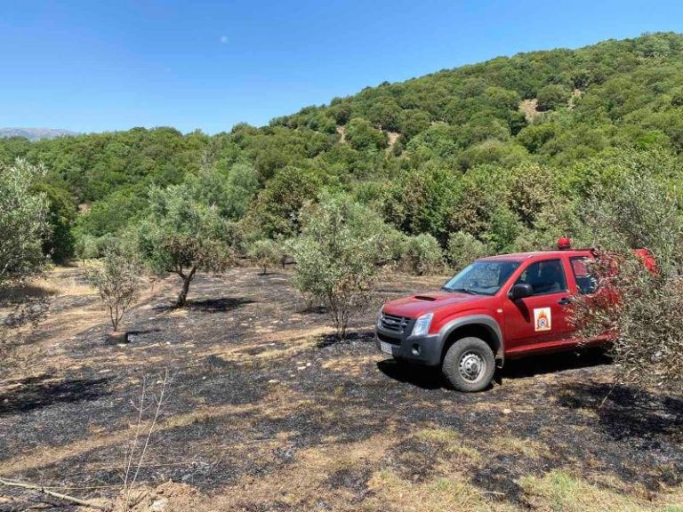 Μεσσηνία: Υπό έλεγχο τέθηκε η φωτιά στο Άνυδρο Τριφυλίας